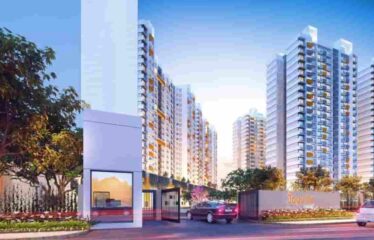 Joyville Virar – Shapoorji Pallonhi
